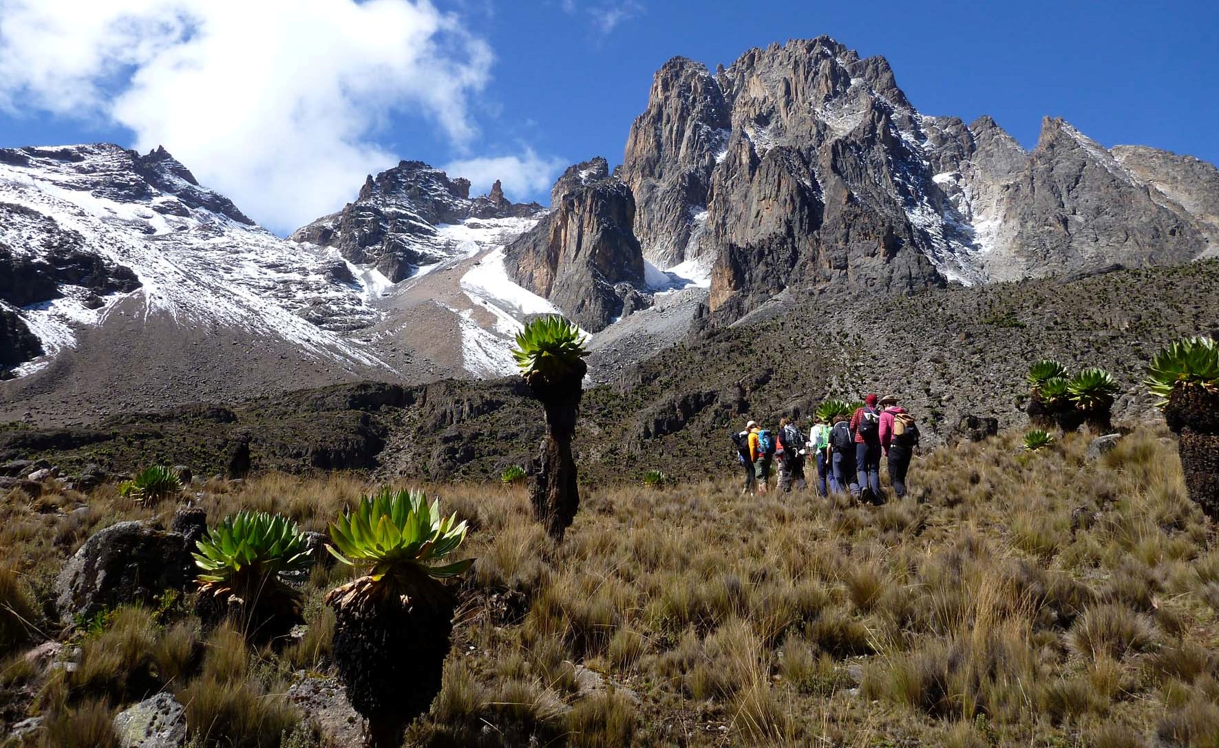 Mount Kenya Safaris & Travel