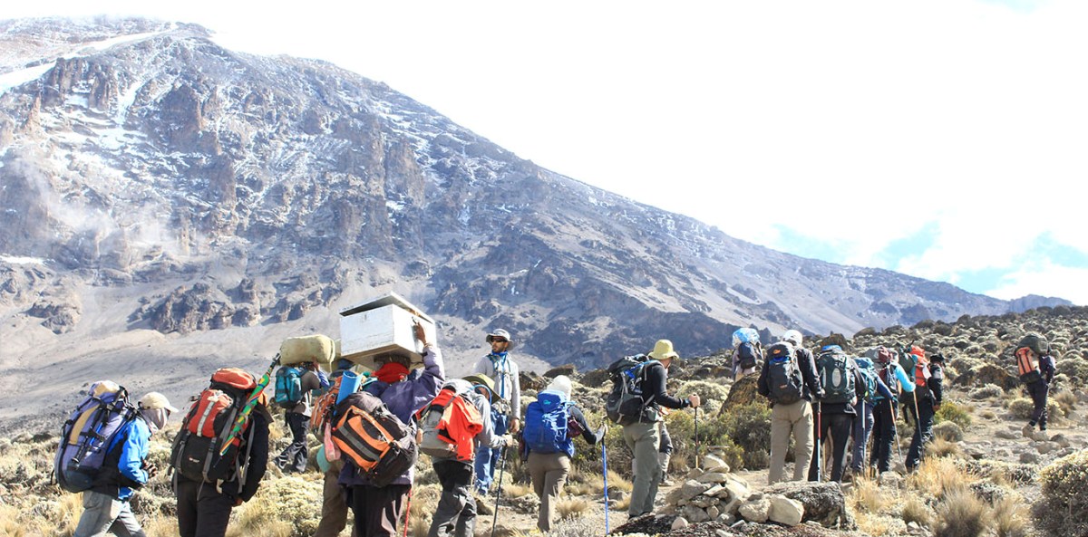 Mount Kenya Safaris